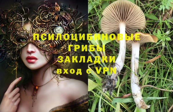 кокс Аркадак