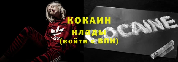 дмт Арсеньев
