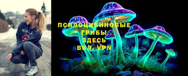 дмт Арсеньев