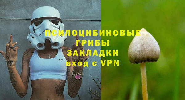 кокс Аркадак