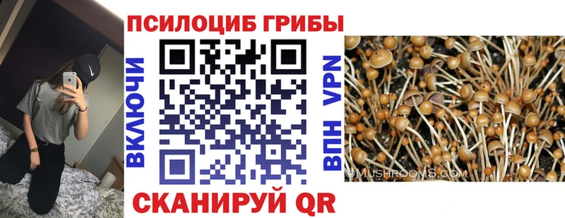 Псилоцибиновые грибы Magic Shrooms  кракен сайт  Оханск 